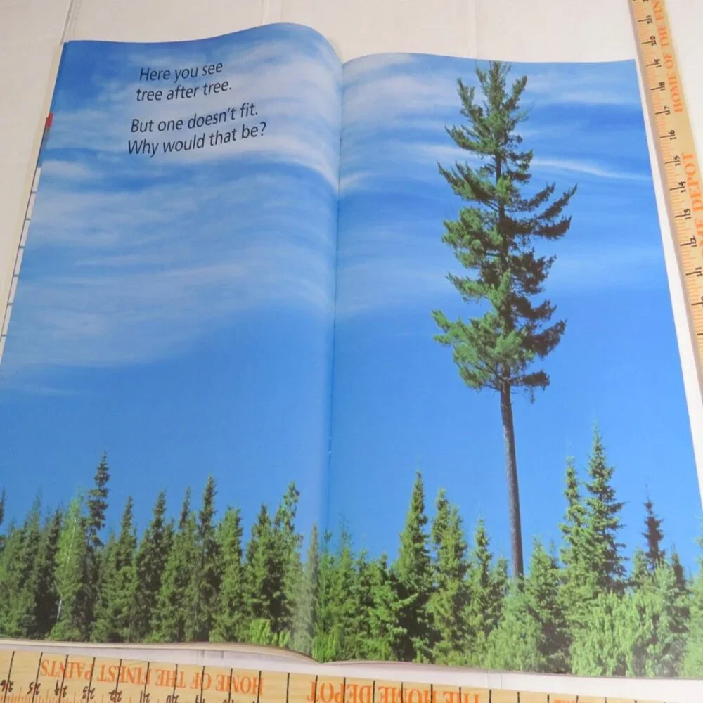 Sort It Out BIG BOOK (almost 2 feet tall) with teacher pages CLASSROOM SIZE